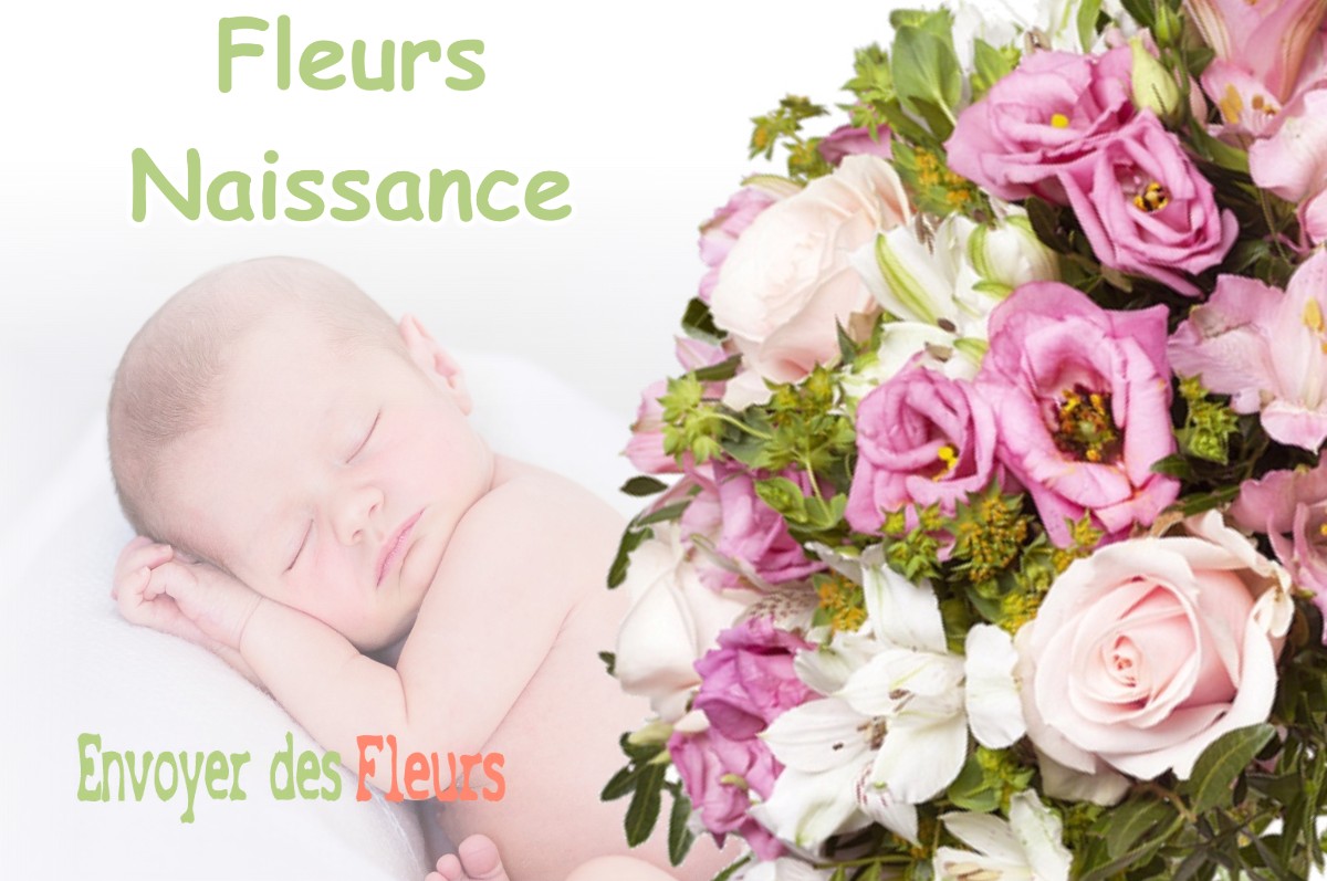 lIVRAISON FLEURS NAISSANCE à MENETRUX-EN-JOUX